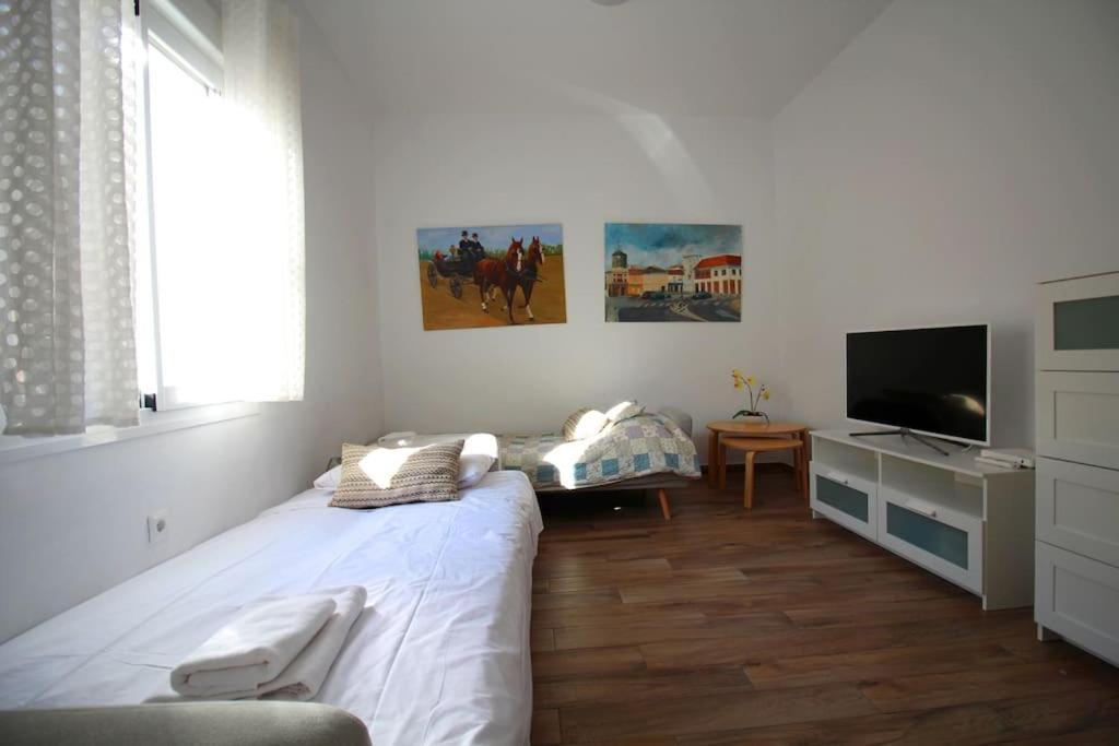 Sevilla Centro - Carrion Mejias Экстерьер фото